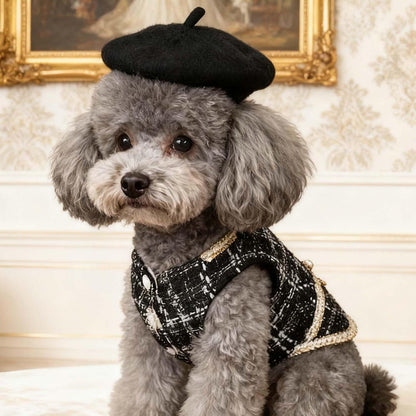 Luxury Dog Clothes Tweed Suits and Beret Hat,Black Winter Warm Pet Coat Vintage Jacket Vest,Cat Artist Costume Cosplay Party Outfits for Small Medium Dogs,XL