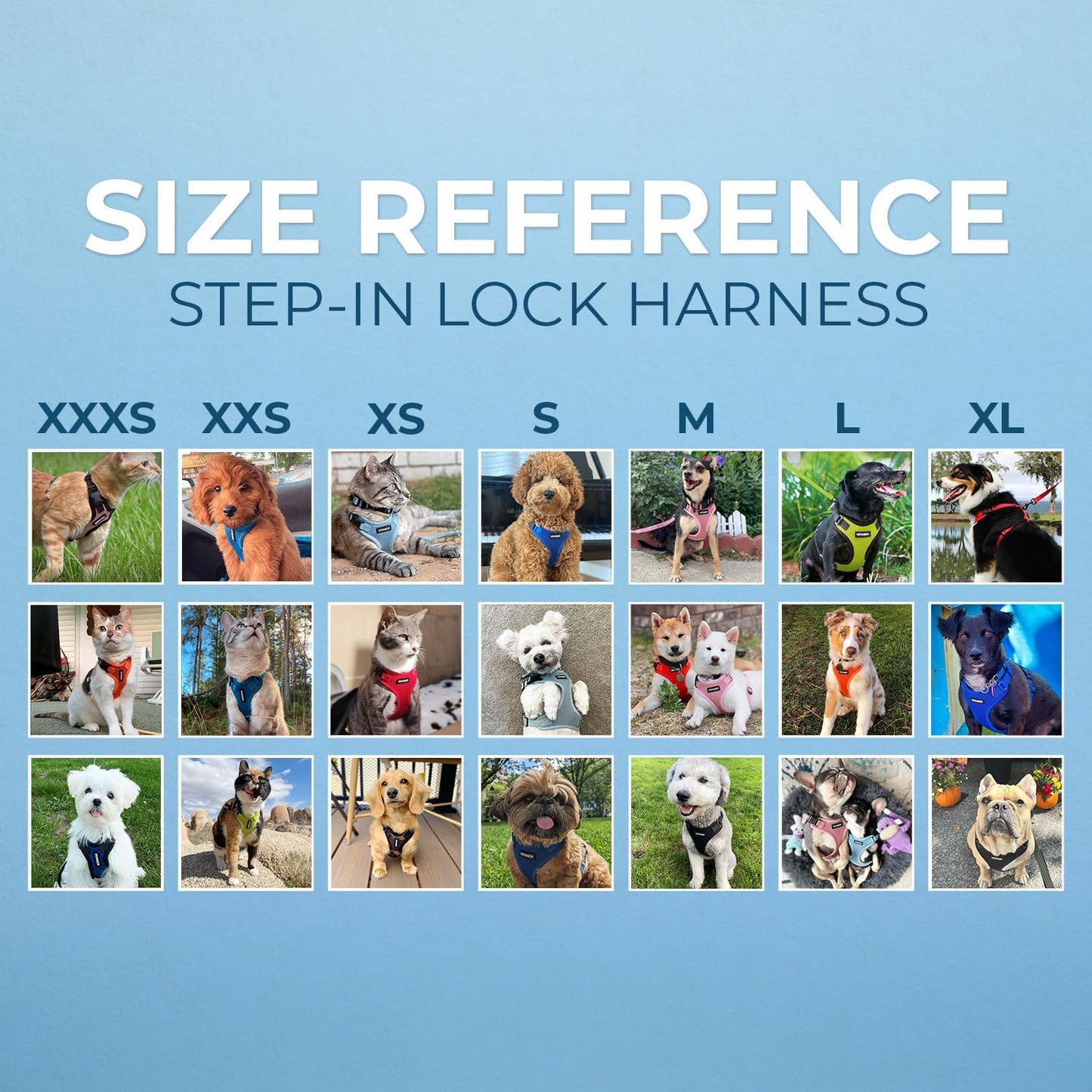 Best Pet Supplies Voyager Step-in Lock Pet Harness w Reflective Pet Leash Combo Set with Neoprene Handle 5ft - Supports Small, Medium and Large Breed Puppies/Cats - Turquoise Set, M