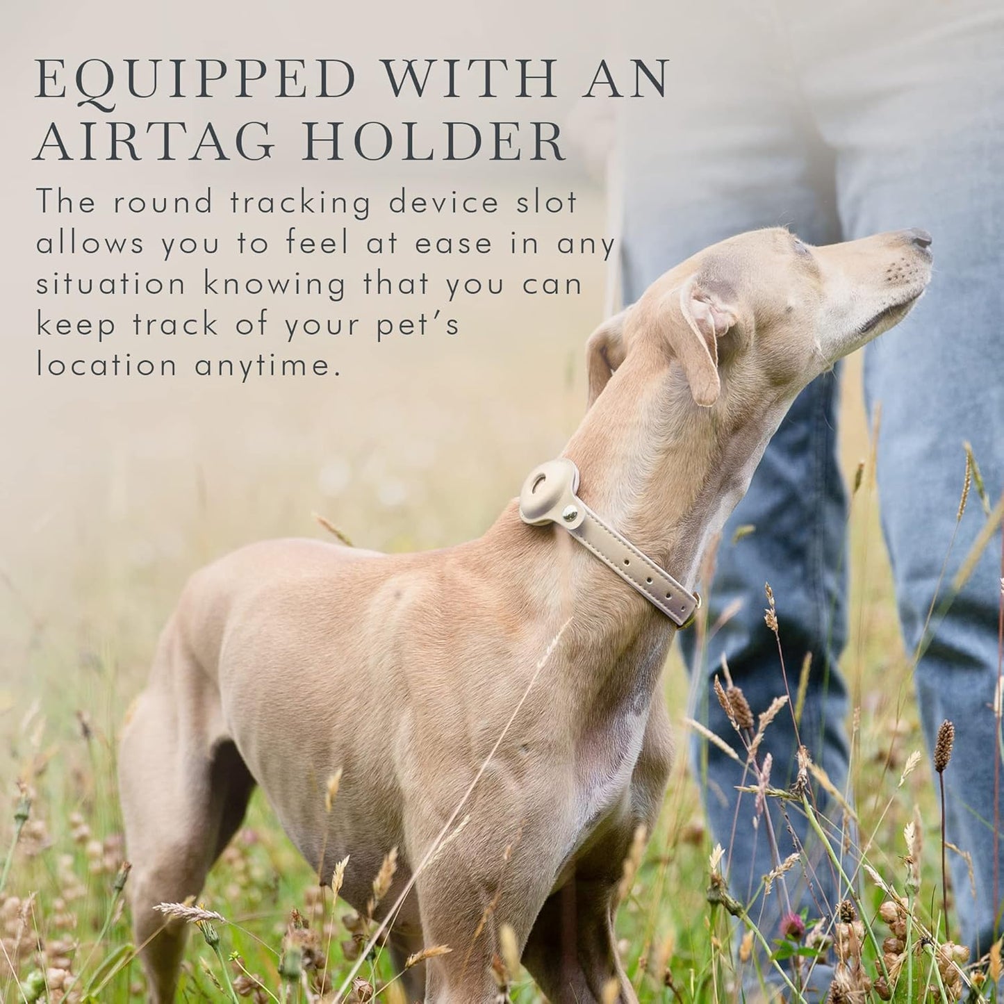 NINA WOOF Cupertino Dog Collars, Harnesses & Leashes Made from Vegan Leather with Dog Tracker Device Holder Adjustable Dog Collar (Extra Small, Beige)