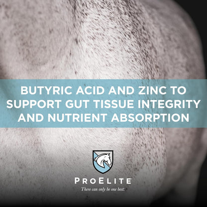 ProElite Gutbiome, Horse Probiotics Prebiotics & Postbiotics, 3 lbs