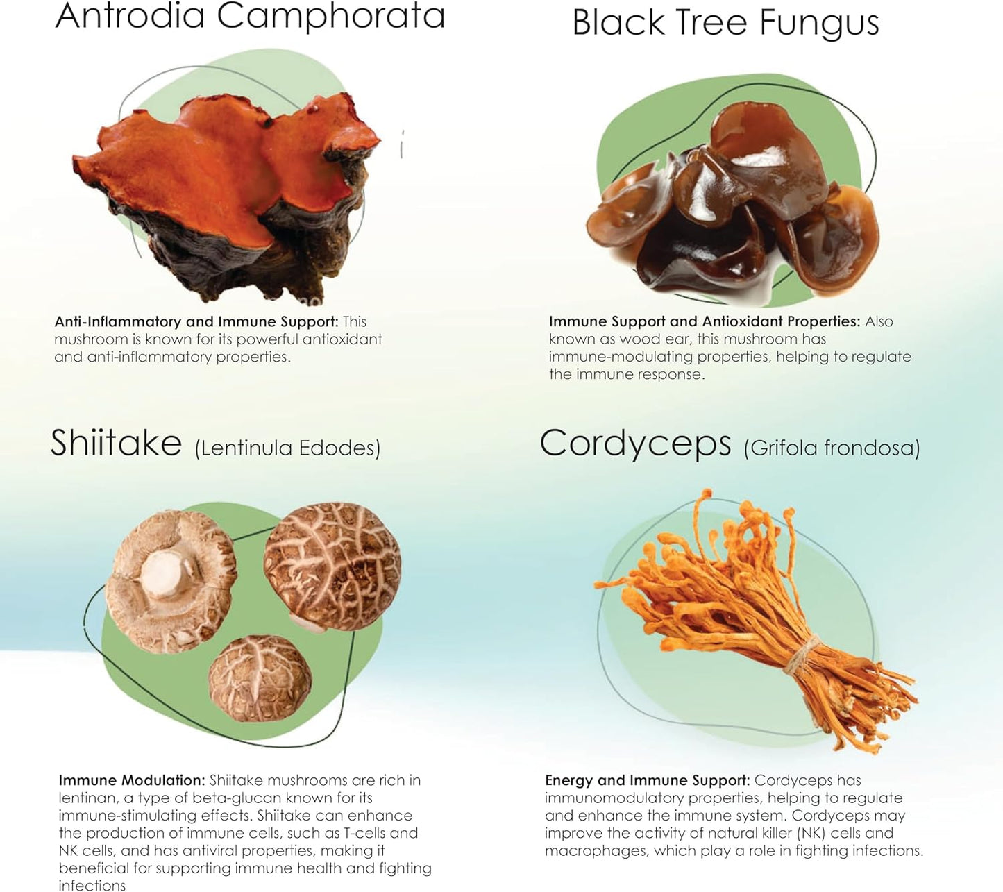 Mycogen for Dogs - Vitamins with 8 Types of Mushrooms - Support Immune System - 60 Soft Chews