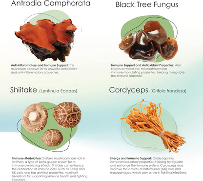 Mycogen for Dogs - Vitamins with 8 Types of Mushrooms - Support Immune System - 60 Soft Chews