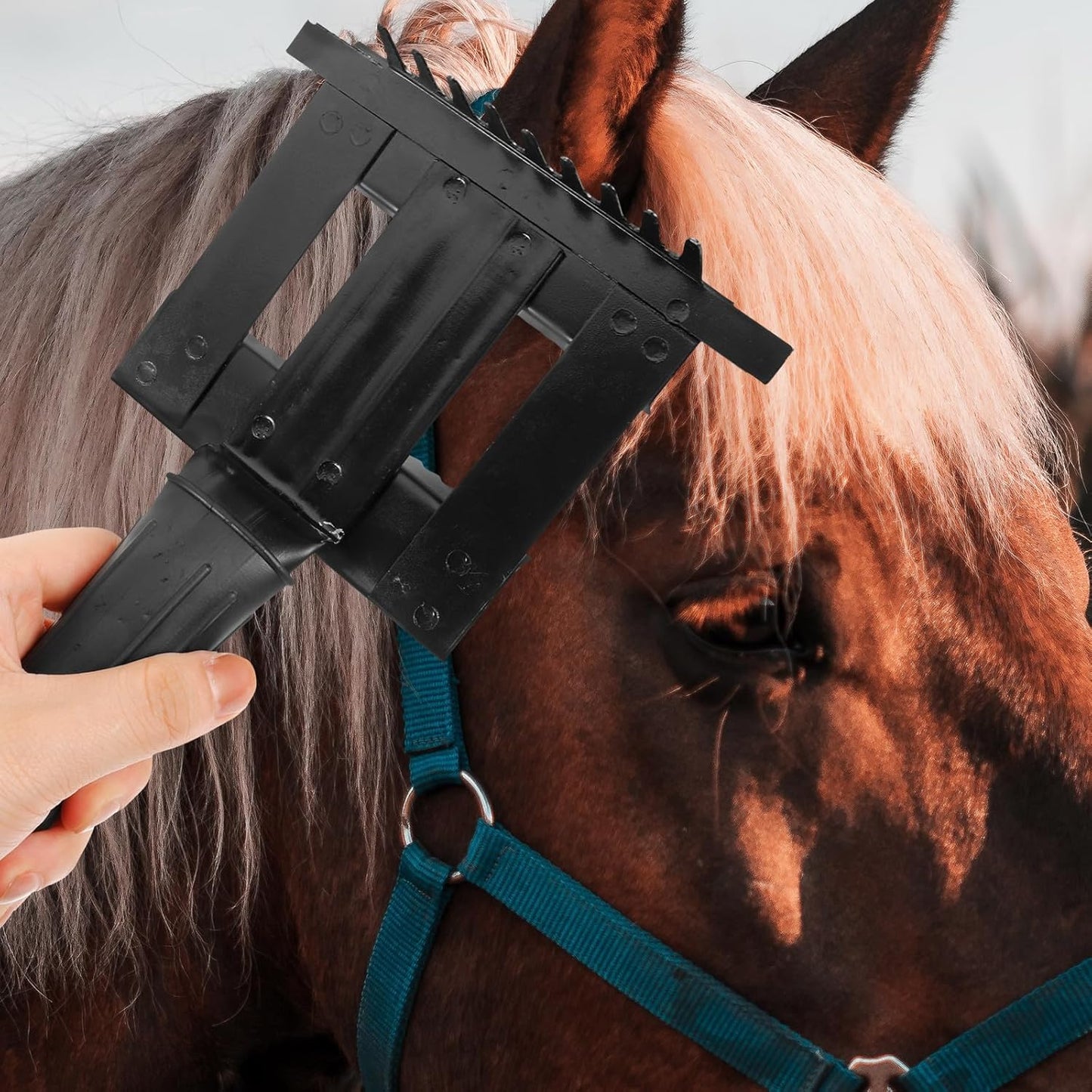 Horse Grooming Brush and Livestock Fur Scraper Metal Itch-Relief Comb Thickened Black for Animal Hair Cleaning and Pet Horse Care