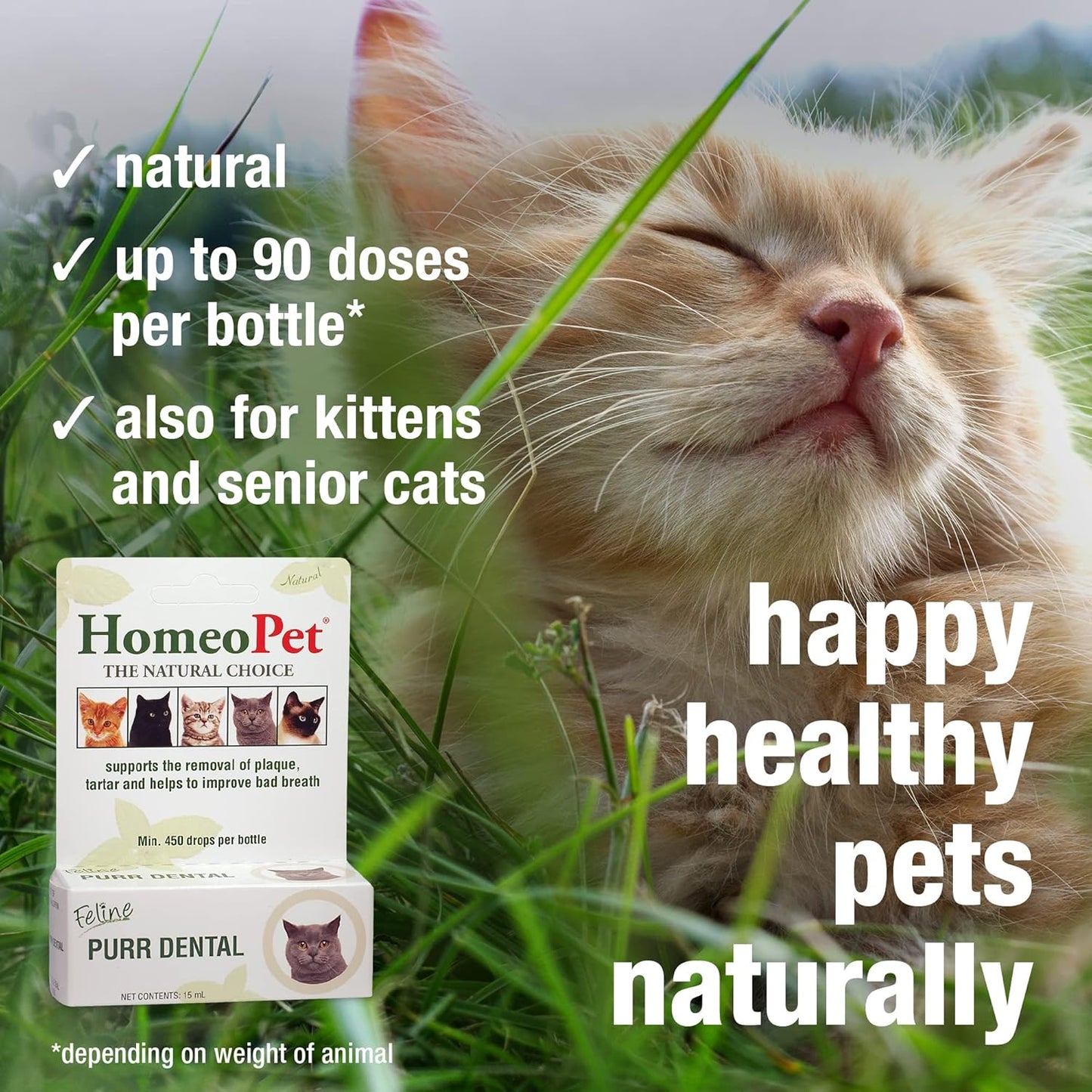HomeoPet Feline Purr Dental, Safe and Natural Tooth and Dental Care for Cats, 15 Milliliters