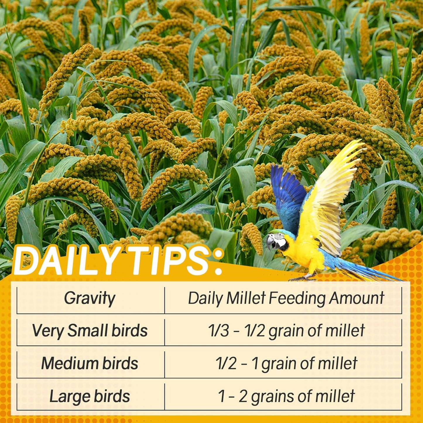 Sukh Millet Spray for Parrots - 30 Pcs Natural Sun-Dried Bird Treat, 12.6 Inches Bird Millets for Cockatiels, Budgies, Parakeets, Finches, Canaries and Pet Birds