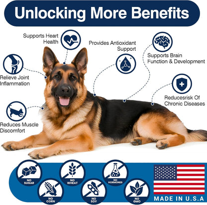 Omega 3 Skin and Coat Supplement for Dogs 200 Chews Dog Fish Oil Supplements with EPA & DHA Fatty Acids Dry Skin Relief for Dogs Shedding Allergy Itching Promotes Heart Hip Joint(Peanut Butter)