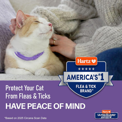 Hartz UltraGuard ProMax Flea & Tick Collar for Cats I 14 Months Protection I Soft & Comfortable | Flea & Tick Prevention I 2 Pack