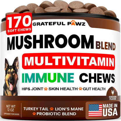 Turkey Tail Mushroom Supplement for Dogs - 170 Chews - Mushrooms for Dogs - Reishi, Lion’s Mane, Glucosamine Multivitamin - Immune Booster, Gut, Hip & Joint Health Support Vitamins, Energy & Skin