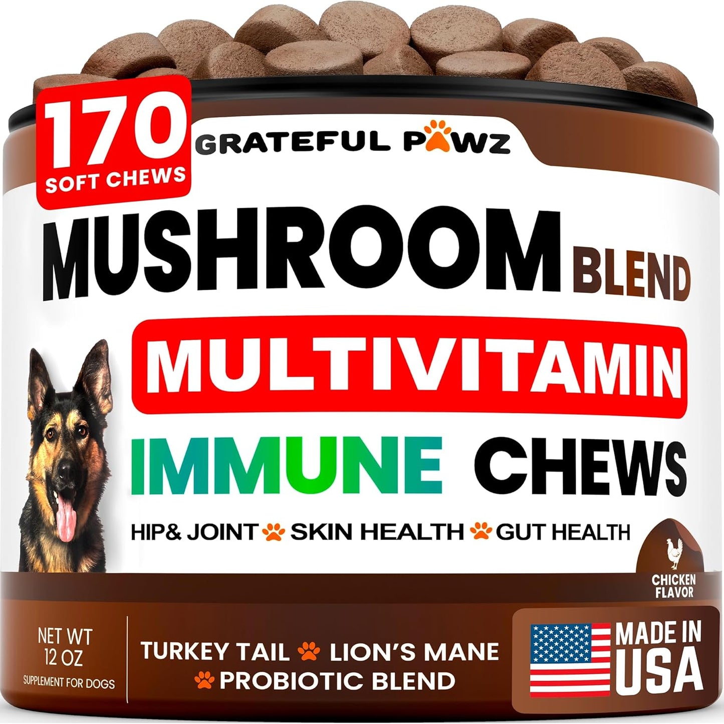 Turkey Tail Mushroom Supplement for Dogs - 170 Chews - Mushrooms for Dogs - Reishi, Lion’s Mane, Glucosamine Multivitamin - Immune Booster, Gut, Hip & Joint Health Support Vitamins, Energy & Skin