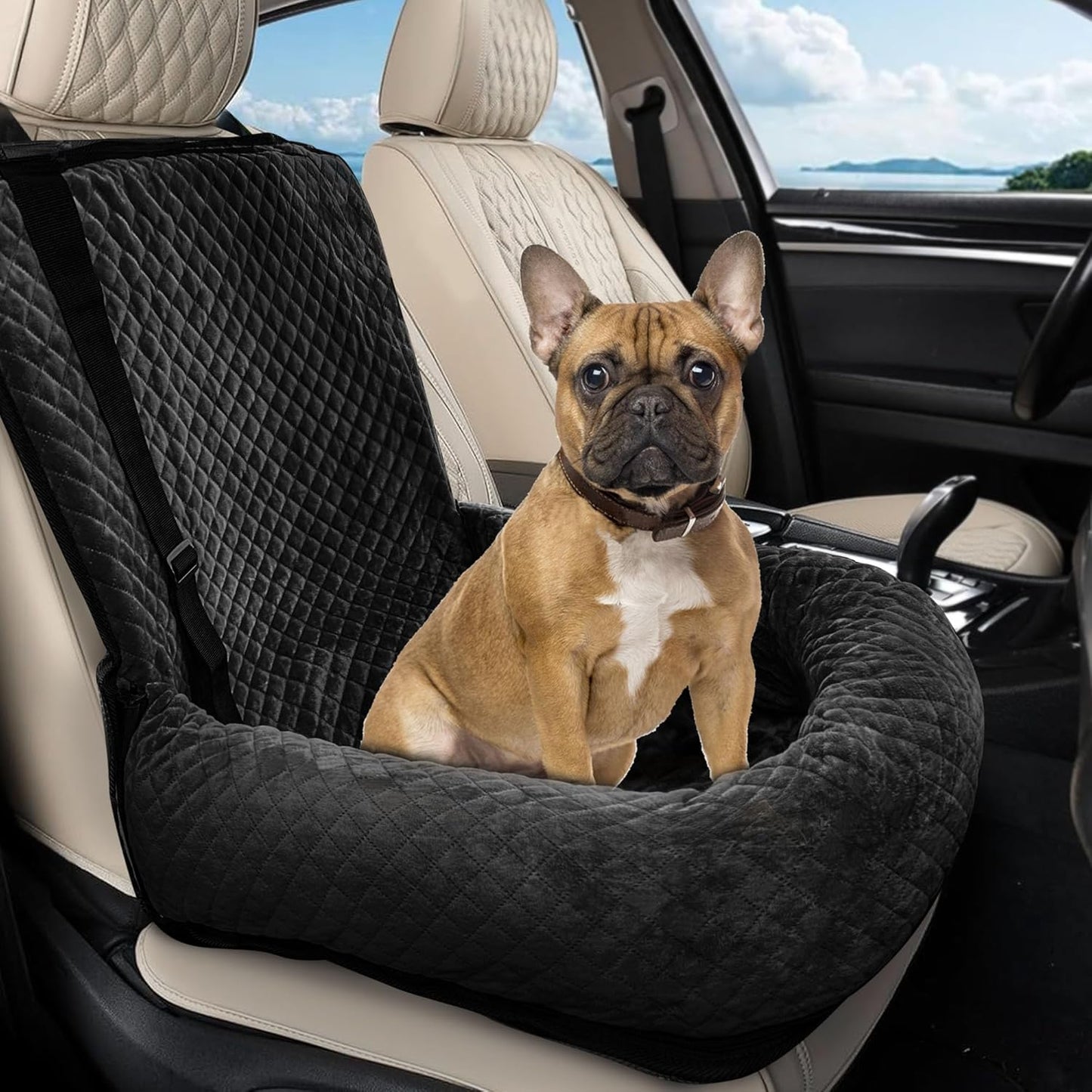 Sephyroth Dog Car Seat for Small/Medium Dogs,Dog Car Bed Washable Pet Travel Safety Car Seat,Super Soft Safe Removable Pet Booster Seat,Fits for All Cars(Black)