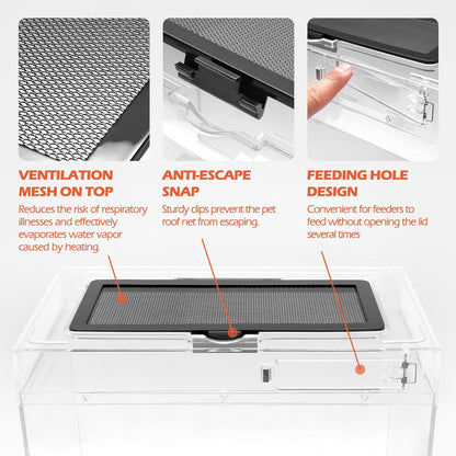 AZV Small Habitat Terrarium Enclosure, and Large Reptile Terrarium,Reptile Tank 15x8x10in Amphibian Isopod Tank Starter Kit with Bearded Dragon Hammock,Heat Lamp,Hide Cave for Geckos Lizard