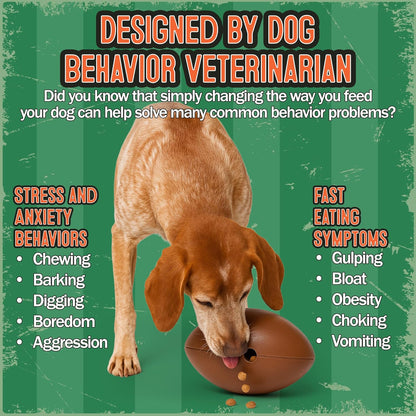 Food Puzzle Feeder for Dogs, Mentally Stimulating Enrichment Toy, Made in USA, BPA-Free Durable Foraging Toy, Reduces Anxiety and Destructive Behavior, Slow Feeder Dog Bowls, 5C