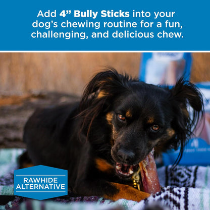 Best Bully Sticks 4 Inch Bully Sticks - 8 oz (Pack of 1) - Natural Grass-Fed, Grain and Rawhide Free, Ideal for Small or Young Canines