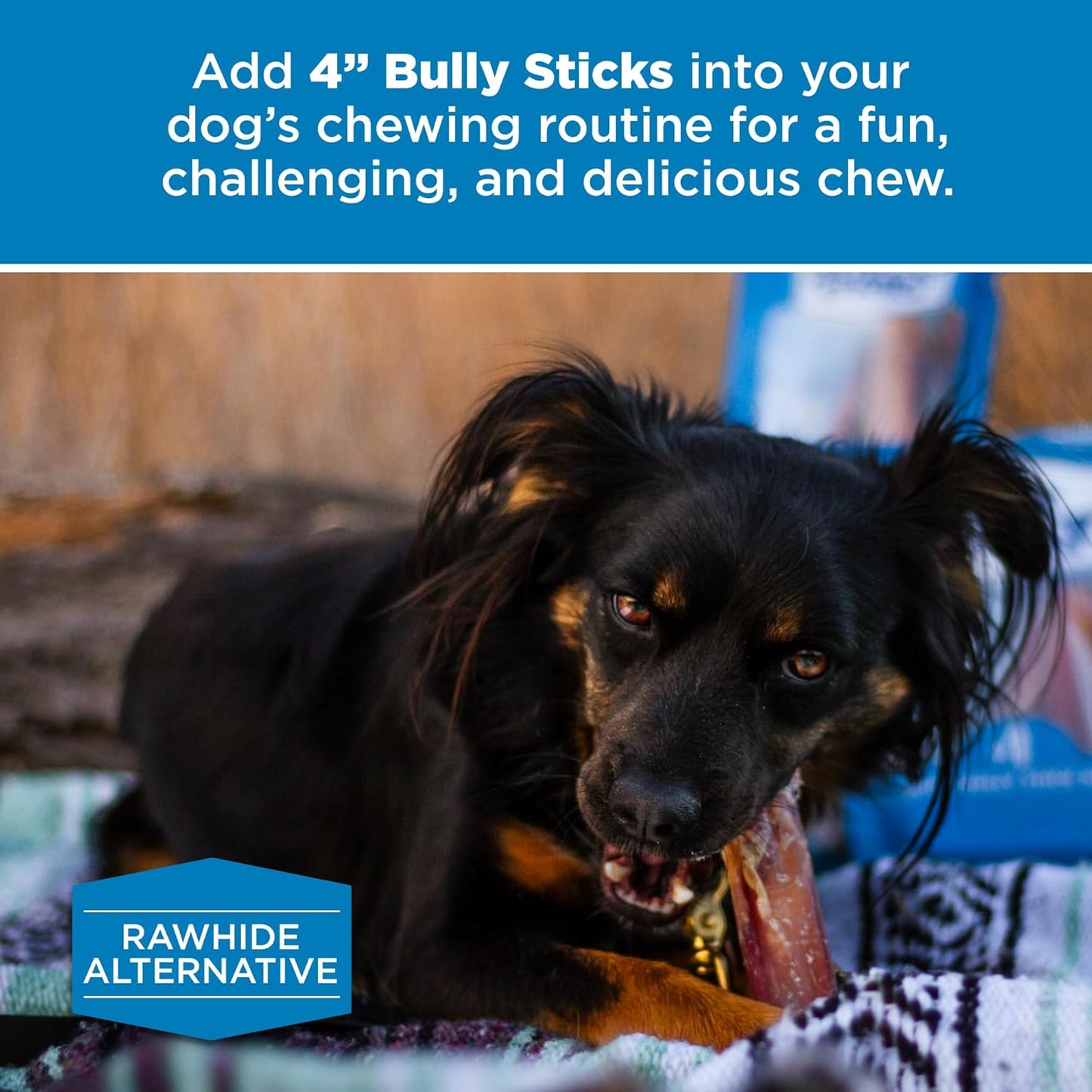 Best Bully Sticks 4 Inch Bully Sticks - 8 oz (Pack of 1) - Natural Grass-Fed, Grain and Rawhide Free, Ideal for Small or Young Canines