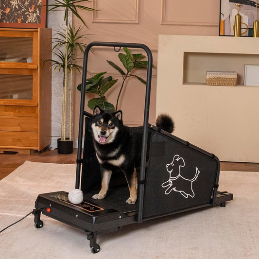 Dog Treadmill for Medium Dogs - Pet Pacer Running Machine with 37.5" Non-Slip Belt, Remote Control & LED Display - Indoor Exercise Equipment for Small to Medium Dogs