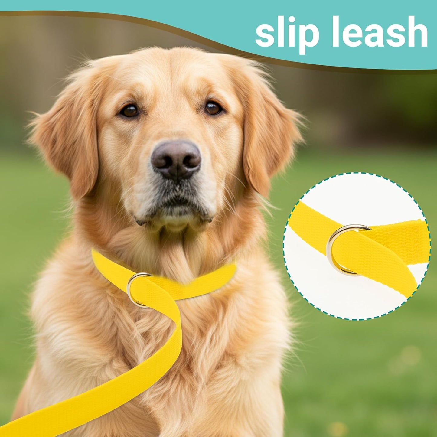 Slip Lead Dog Leash, 12 Pack 6 FT Short Leash with O-Ring for Small, Medium & Large Dogs, Pet Leads Leashes Bulk for Walking, Training, Rescues, Grooming, Shelter, Running Outdoor