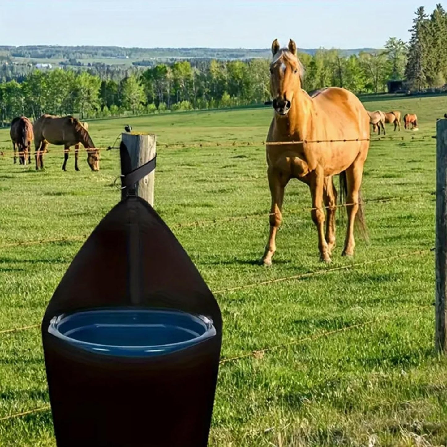 Horse Food Bag, Bucket Holder for 18 Litres, Portable , 900D Polyester Pet Feeder Holder for Indoor and Outdoor Feeding