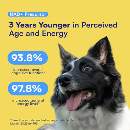 NAD+ Precursor & Senior Dog Supplement - 90 Soft Chews & Vitamins - NMN Alternative for Longevity, Anti-Aging & Energy - Nicotinamide Riboside, Resveratrol, Quercetin, Made with Pasture-Raised Chicken