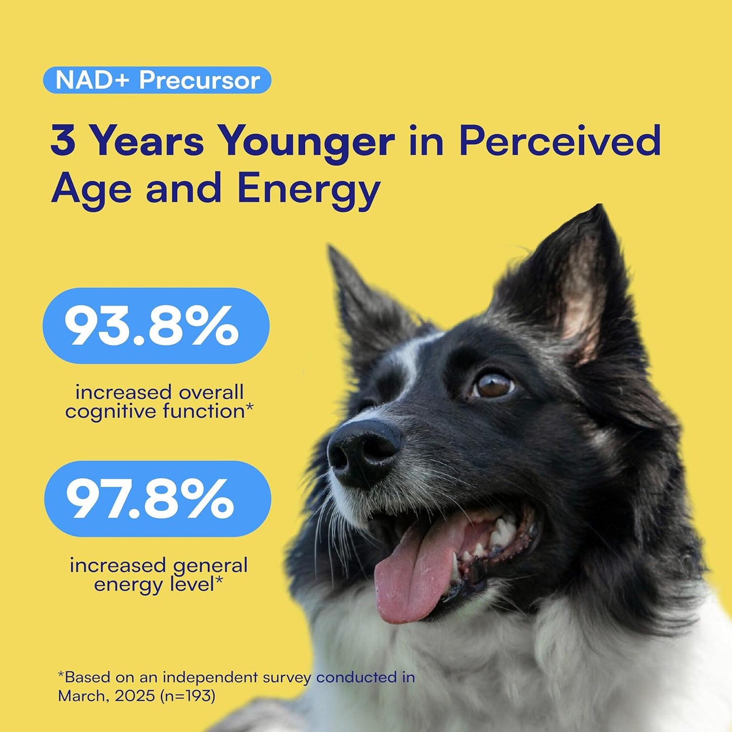 NAD+ Precursor & Senior Dog Supplement - 90 Soft Chews & Vitamins - NMN Alternative for Longevity, Anti-Aging & Energy - Nicotinamide Riboside, Resveratrol, Quercetin, Made with Pasture-Raised Chicken