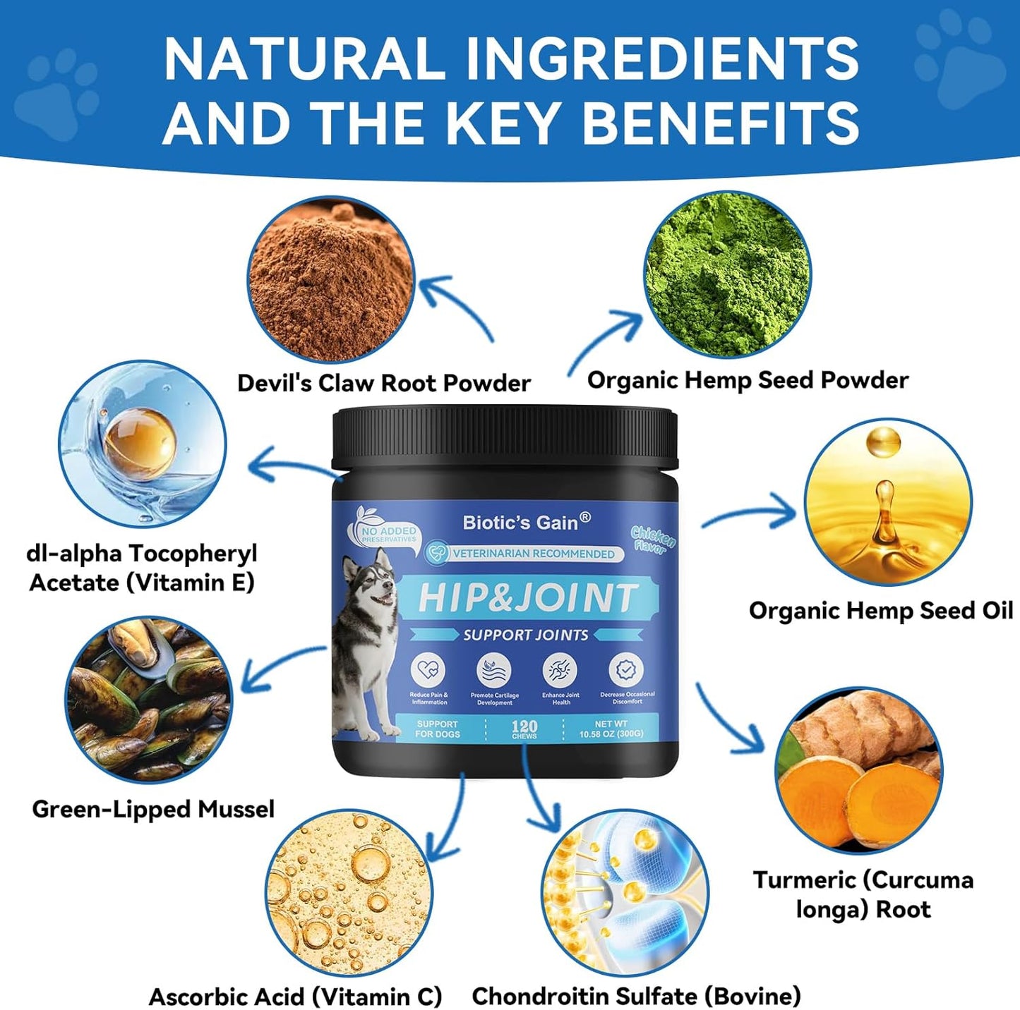 Biotic's Gain - Dog Multivitamins, 25 in 1 Complete Care, 120 Soft Chews, Chicken Flavour (120, Hip & Joint Care)