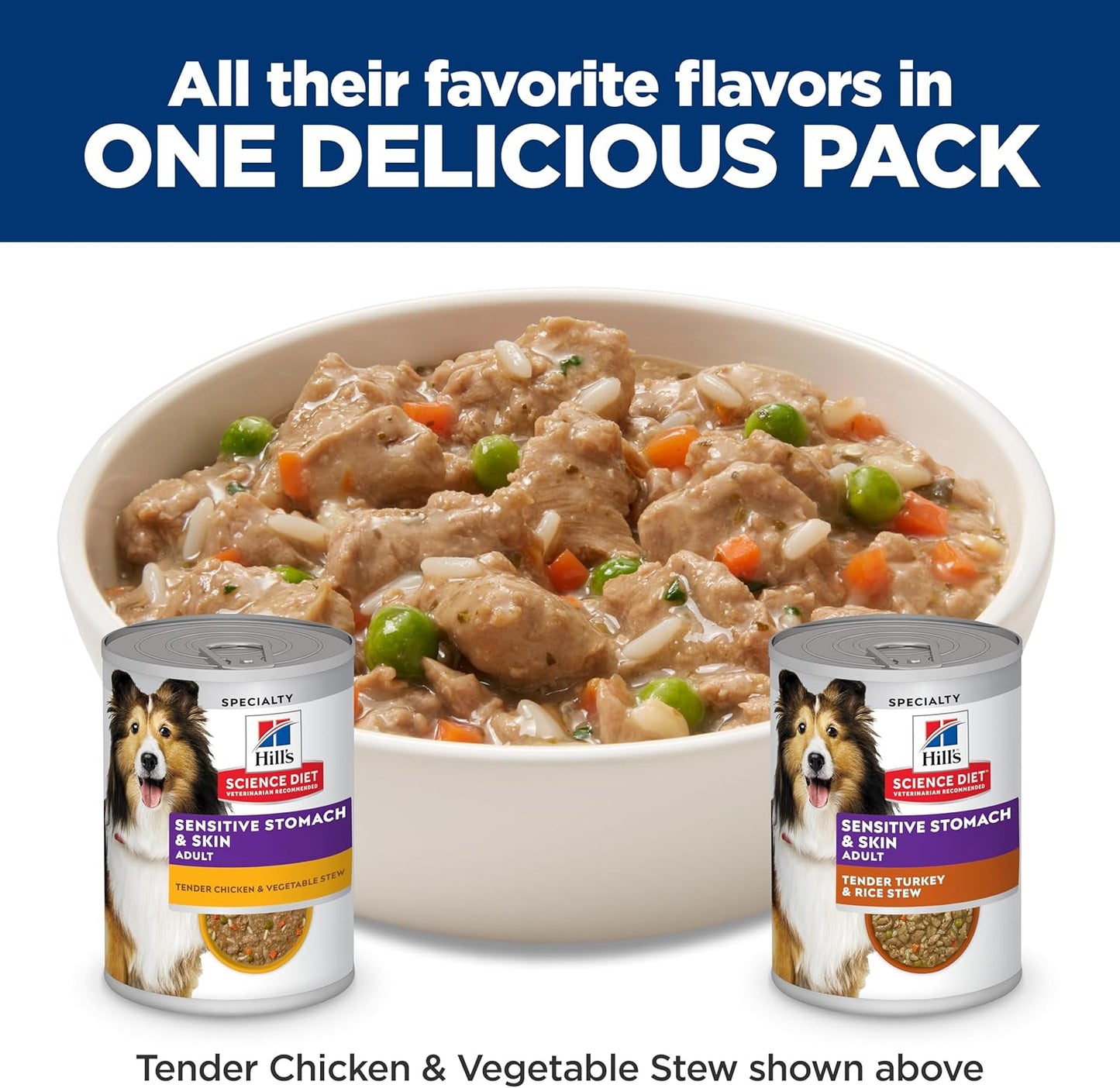 Hill's Science Diet Sensitive Stomach & Skin, Adult 1-6, Stomach & Skin Sensitivity Support, Wet Dog Food, Variety Pack: Chicken, Turkey Stew, 12.5 oz Can, Case of 12