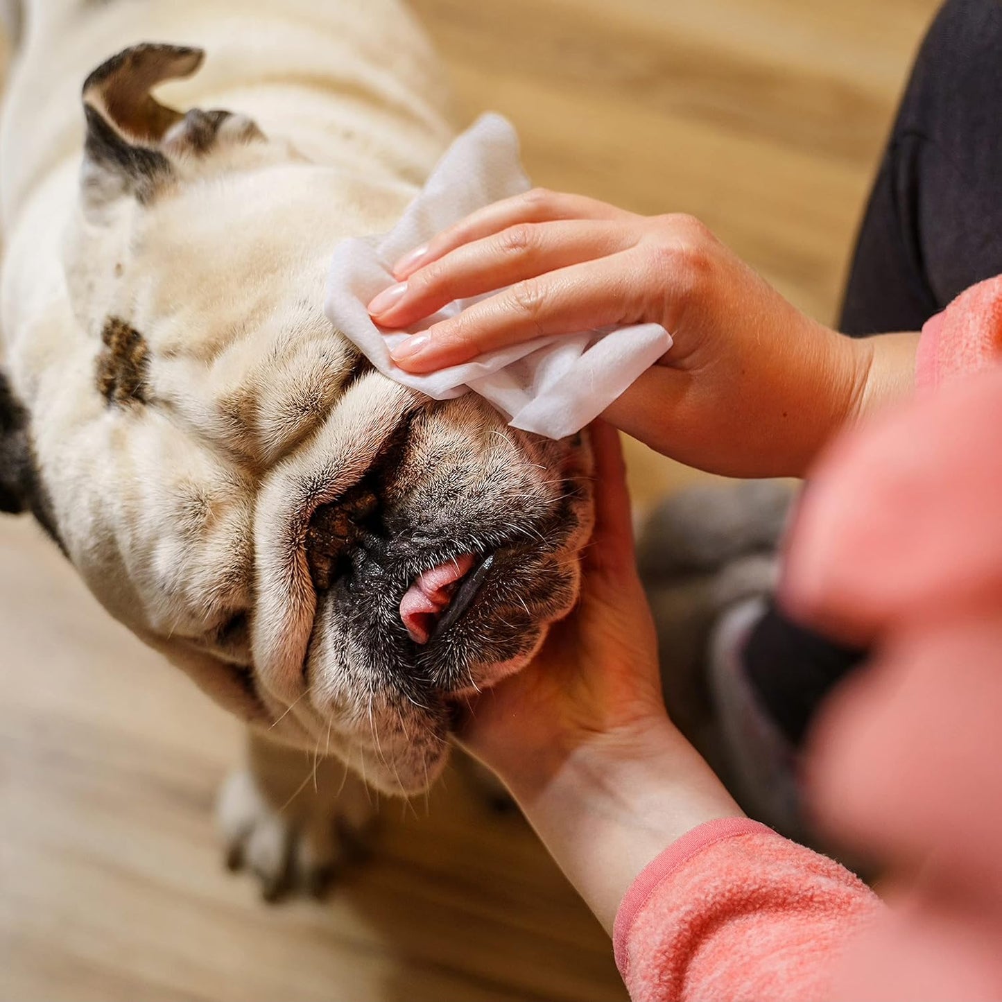 Inspire Naturals Pet Wipes for Dogs and Cats 100% Natural Plant Based with Organic Antioxidants, Dog Wipe Cleaning Deodorizing | Cat Wipes | Puppy Wipes | Dog Wipes for Paws and Butt (200ct - 4 Pack)