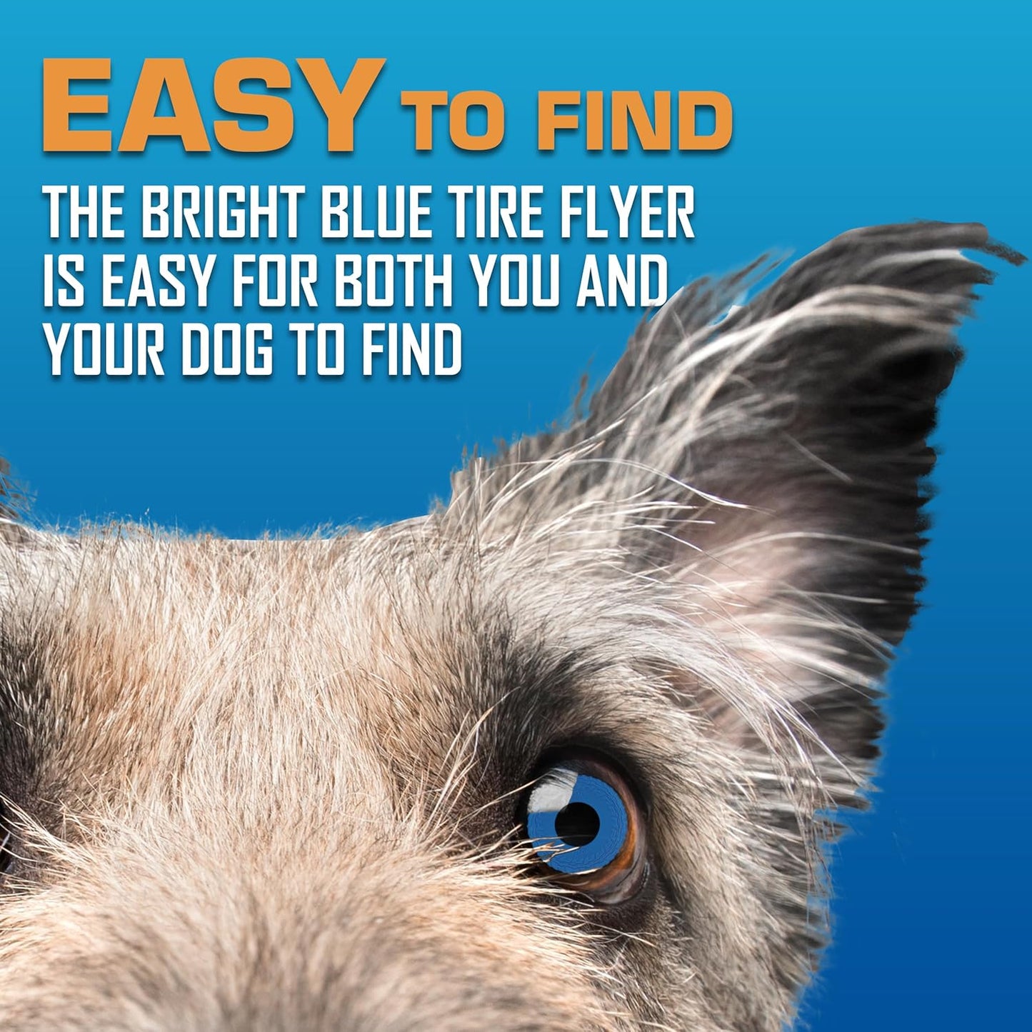 Nerf Dog Tire Flyer Outdoor Dog Toy, 10 Inch Flying Disc Dog Fetch Toy, Rubber Dog Toy for Medium Dogs and Large Dogs, Blue (Pack of 2)