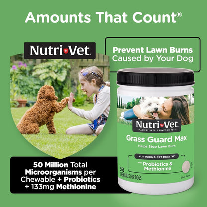 Nutri-Vet Grass Guard Chewables for Dogs, Prevents Lawn Burn from Dog Urine, Protects Grass, and Supports Digestive Health, 365 Count