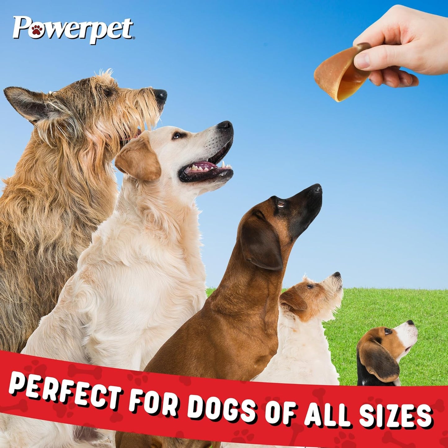 Powerpet 100% Natural Cow Hooves for Dogs – Durable Chews & Dental Treats for All Dog Breeds & Sizes, Helps Reduce Tartar & Boredom, Large Hoofs for Chewing, Supports Clean Teeth & Gums, 5 Pack