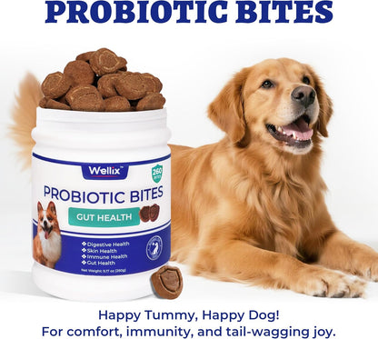 260 Bites Wellix Probiotics for Dogs - Dog Probiotics and Prebiotics with Pumkin - Improve Digestive Health, Allergies and Itchy Skin Relief Natural Gut Health Supplements for Small Medium Senior Dog