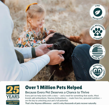 Nzymes® Antioxidant Treats - for Dogs Joints, HIPS, Paralysis, Skin, Coat, Hair Loss, Aging, Digestion, Neurological, Seizures - 60 Treats - Made in The USA
