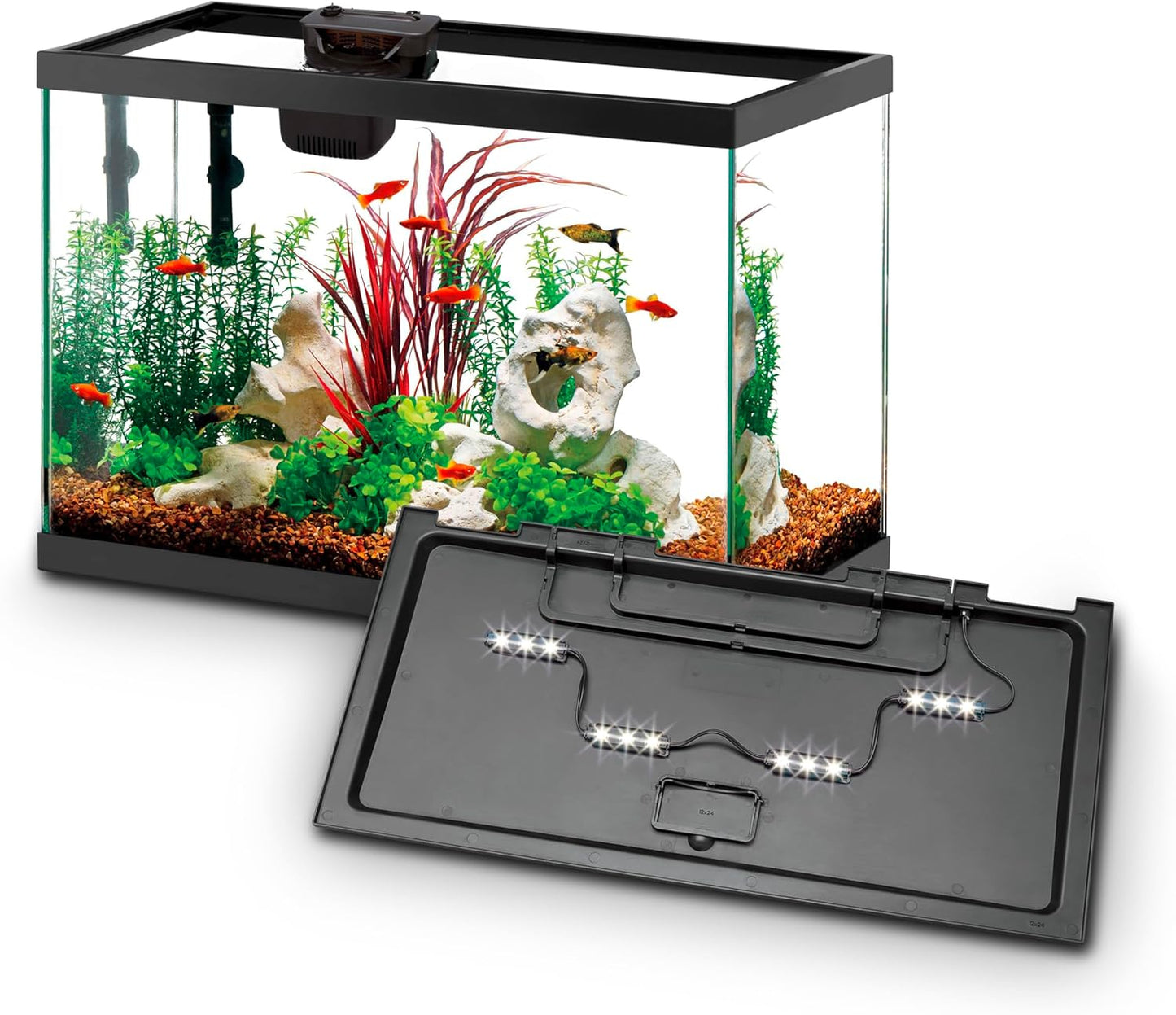 Aqueon Aquarium Starter Kit with Smart Clean Filtration and LED Lighting, Freshwater and Saltwater Fish, Perfect for Gouramis, Barbs, Bettas, 20-Gallon