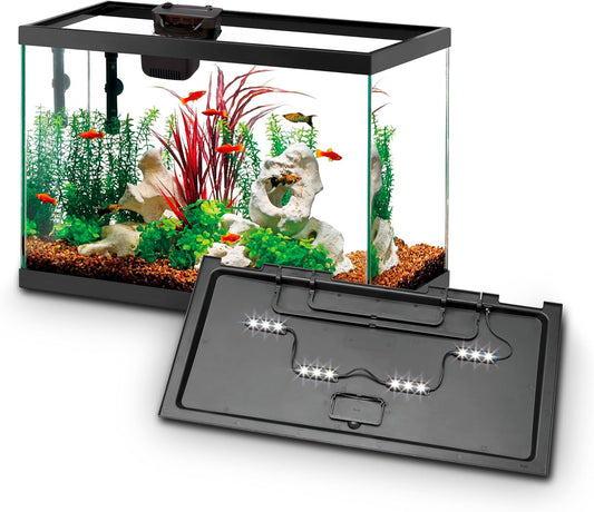 Aqueon Aquarium Starter Kit with Smart Clean Filtration and LED Lighting, Freshwater and Saltwater Fish, Perfect for Gouramis, Barbs, Bettas, 20-Gallon