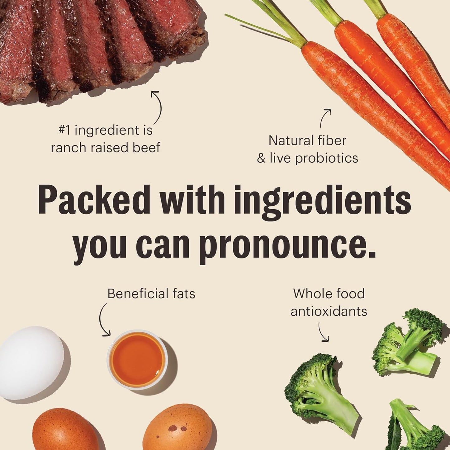 The Honest Kitchen Whole Food Clusters Small Breed Grain Free Beef Dry Dog Food, 10 lb Bag