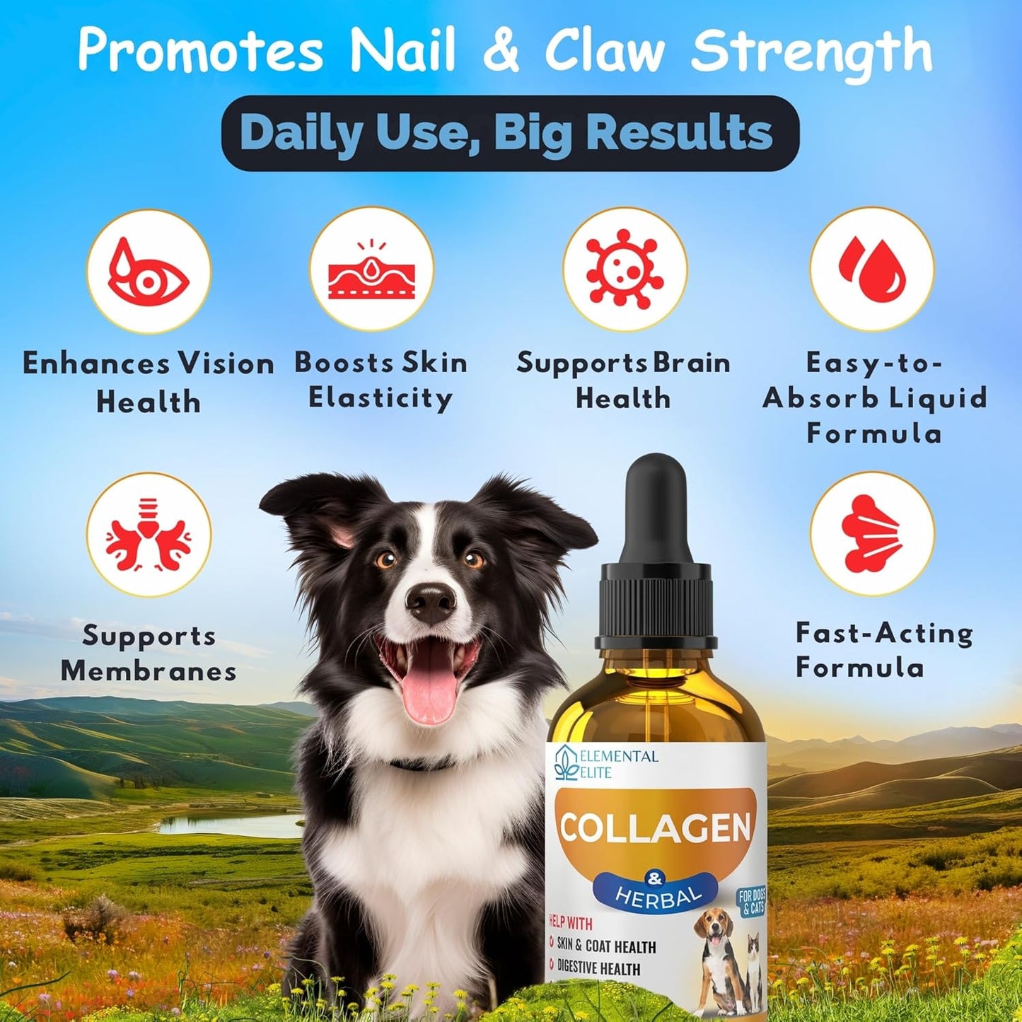 Liquid Collagen for Dogs and Cats, Skin & Coat Supplement, Itch Relief, Joint & Mobility Support, Enriched with Grass-Fed Collagen, MSM, Biotin & Ginger, Daily All-in-One Pet Health Formula