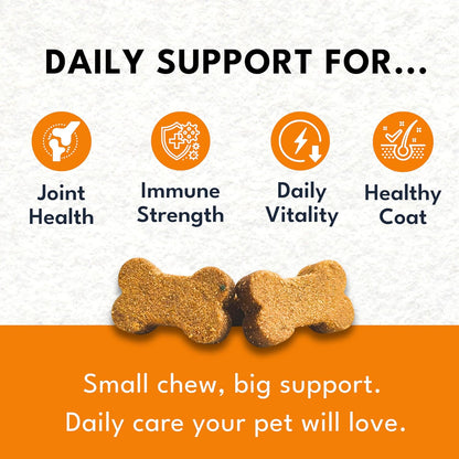 Multivitamin Chews for Dogs - Joint Support + Digestive Enzymes & Probiotics - Dog Multivitamins Chewable - Puppy & Senior Dog Vitamins - Daily Dog Multivitamin and Supplements-50 Soft Chews