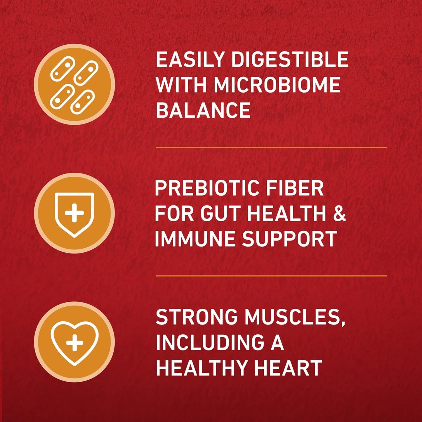 Purina ONE Chicken and Rice Formula Dry Dog Food - 16.5 lb. Bag