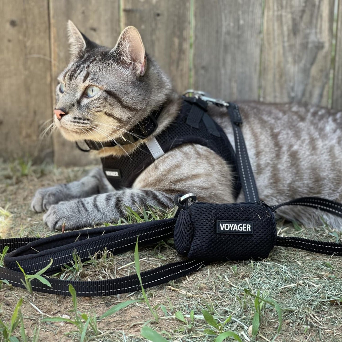 Best Pet Supplies - All Weather Mesh/Plush, Reflective, No Pull Harness for Small, Medium Dogs, Cats - Secure with Hook & Loop Fastener, Buckle, Double D-Rings - Black/Black Trim, XL