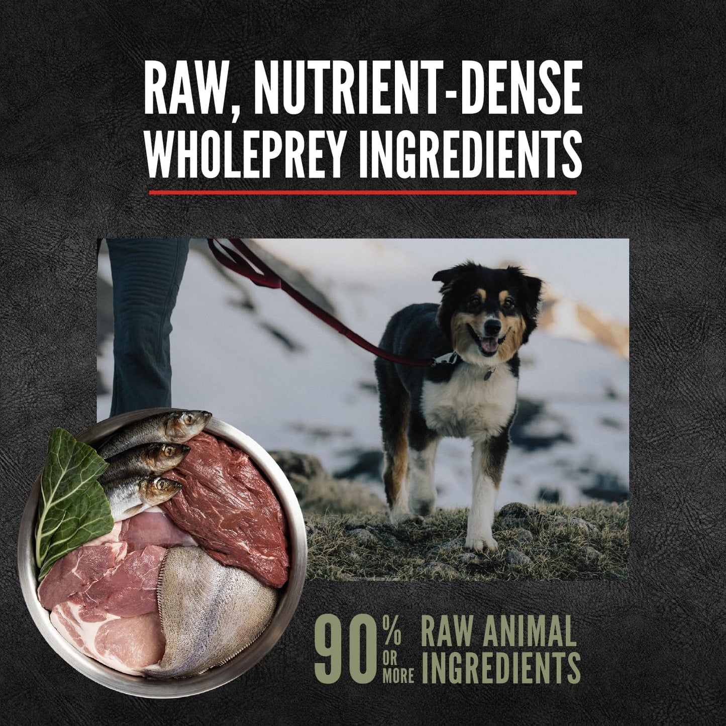 Bundle of ORIJEN Epic Bites Freeze-Dried Dry Dog Food Tundra Recipe 6oz Bag + ORIJEN Real Meat Shreds Wet Dog Food Variety Pack: Tundra + Original Recipes 12.8oz Cans (6 Count, 3 of Each)