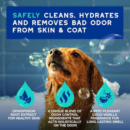DOUXO® Skin & Coat SPA - Ultra-Safe Odor Control Dog Shampoo for Smelly Dogs, 16 fl oz, Cleans and Hydrates The Skin, Removes Odor, Leaves The Coat Soft and Smelling Great, Skin-Friendly Formula