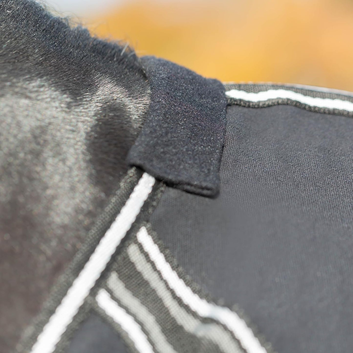 Equinavia Fryd 100% Cotton Stable Blanket for Horses | No Fill - Black - 74 in