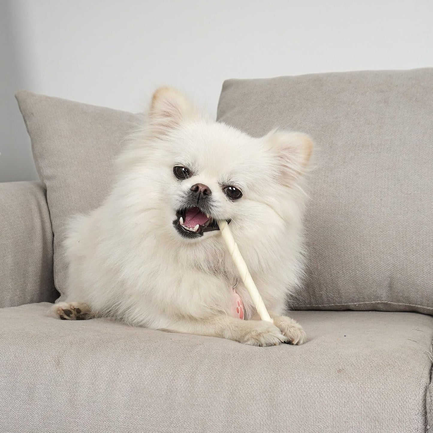 MON2SUN Dog Rawhide Twist Sticks Natural 5 Inch Thin Sticks Rawhide Chews Treats for Puppy and Small Dogs 120 Count