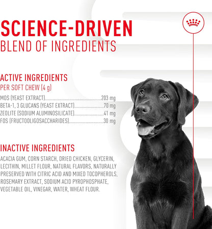 Royal Canin Digestive Dog Supplement Soft Chews for Adult Dogs, 60 Count