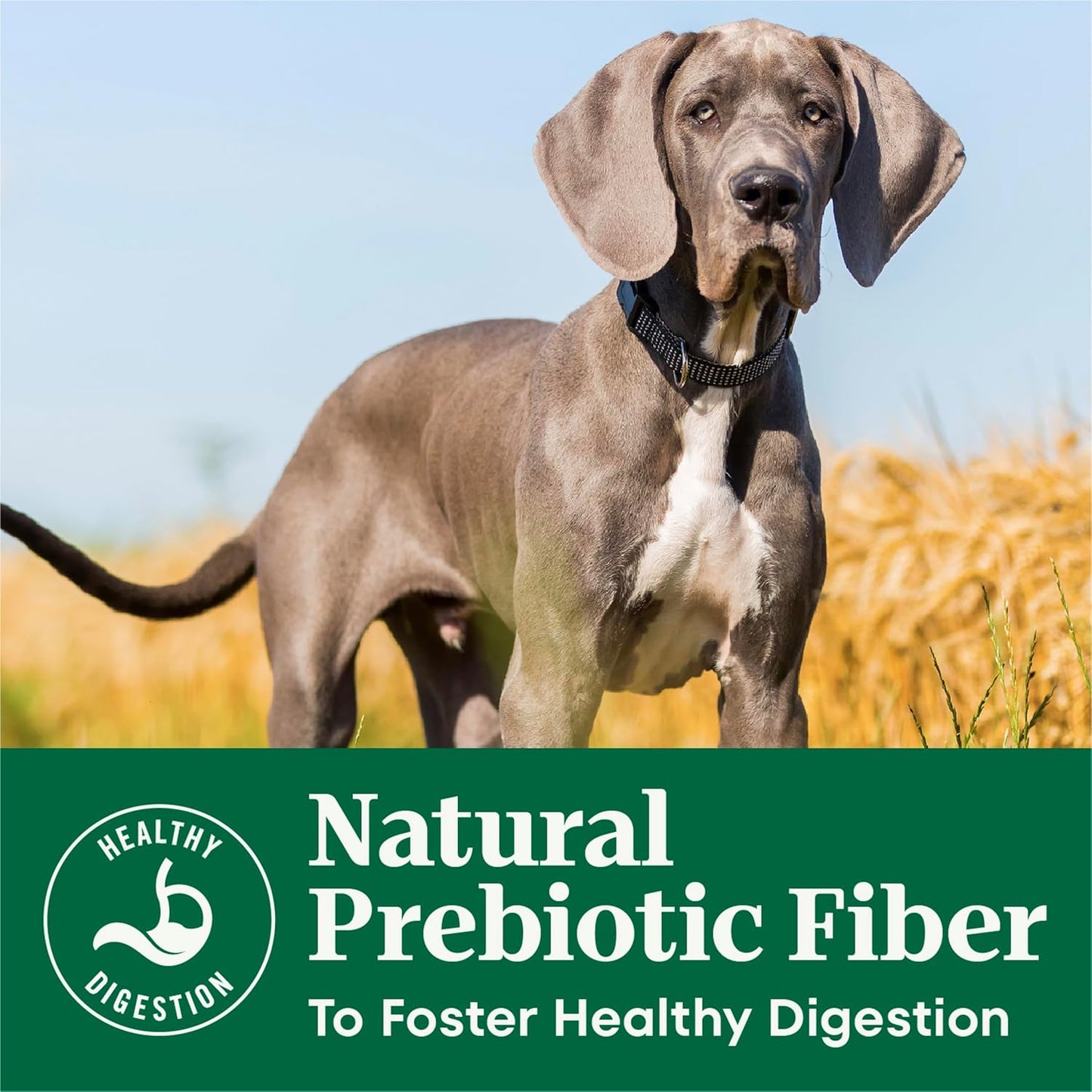 Nutro Natural Choice Puppy Food Dry, Lamb & Brown Rice Recipe, 12 lb. Bag