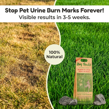 Dog Rocks for Urine Burning Grass - 200g Natural Pet Rock to Help Maintain Green Lawn - Grass Savers for Dog Urine - 2 Month Supply for Use in Water Bowls or Yard