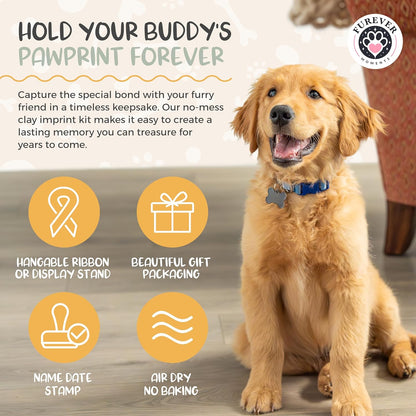 Pet Paw Print Impression Kit Makes (2) Dog Keepsake Ornaments, Inkless Paw Print Kit for Dogs (and Cats!) - Dog Paw Print Kit Keepsake, New Puppy Gift, Pawprint Kit w/ Paints & Name Stamps! (White)