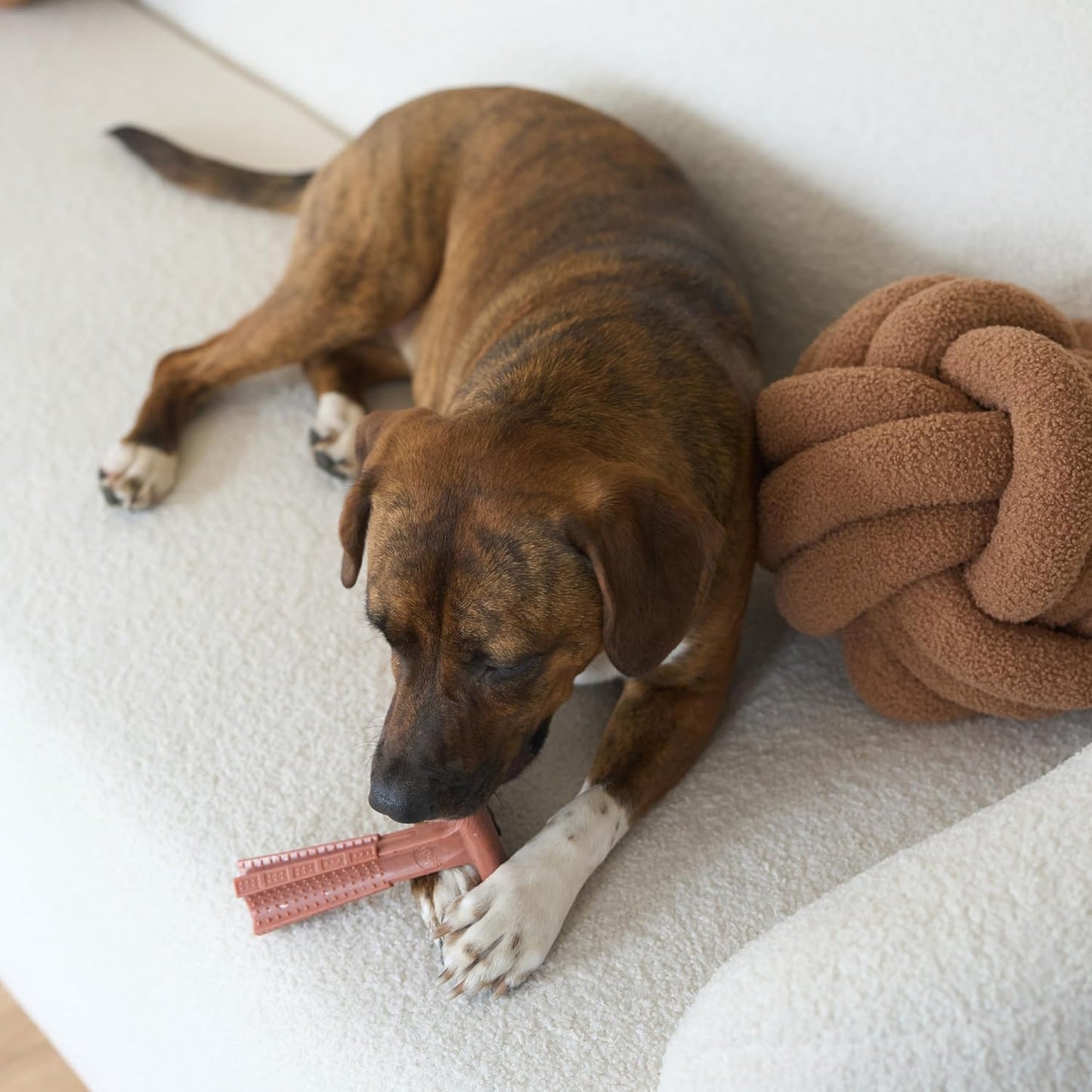 SPOT Bam-Bones Plus T Bone – Bamboo Fiber & Nylon Dog Chew Toy for Moderate to Aggressive Chewers, Durable Long Lasting & Non-Splintering, Beef Flavor Toy for Adult Dogs & Puppies Under 60 lbs, 6 in