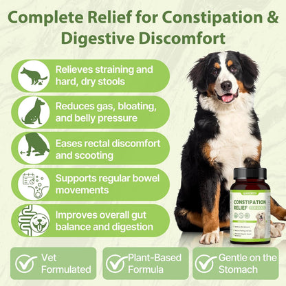Dog Constipation Relief, Dog Laxative andDog Stool Softener – Herbal and Probiotic Supplement for Constipation Relief forDogs, DogGas Relief – Supports Digestion, Comfort, and Regular Poops
