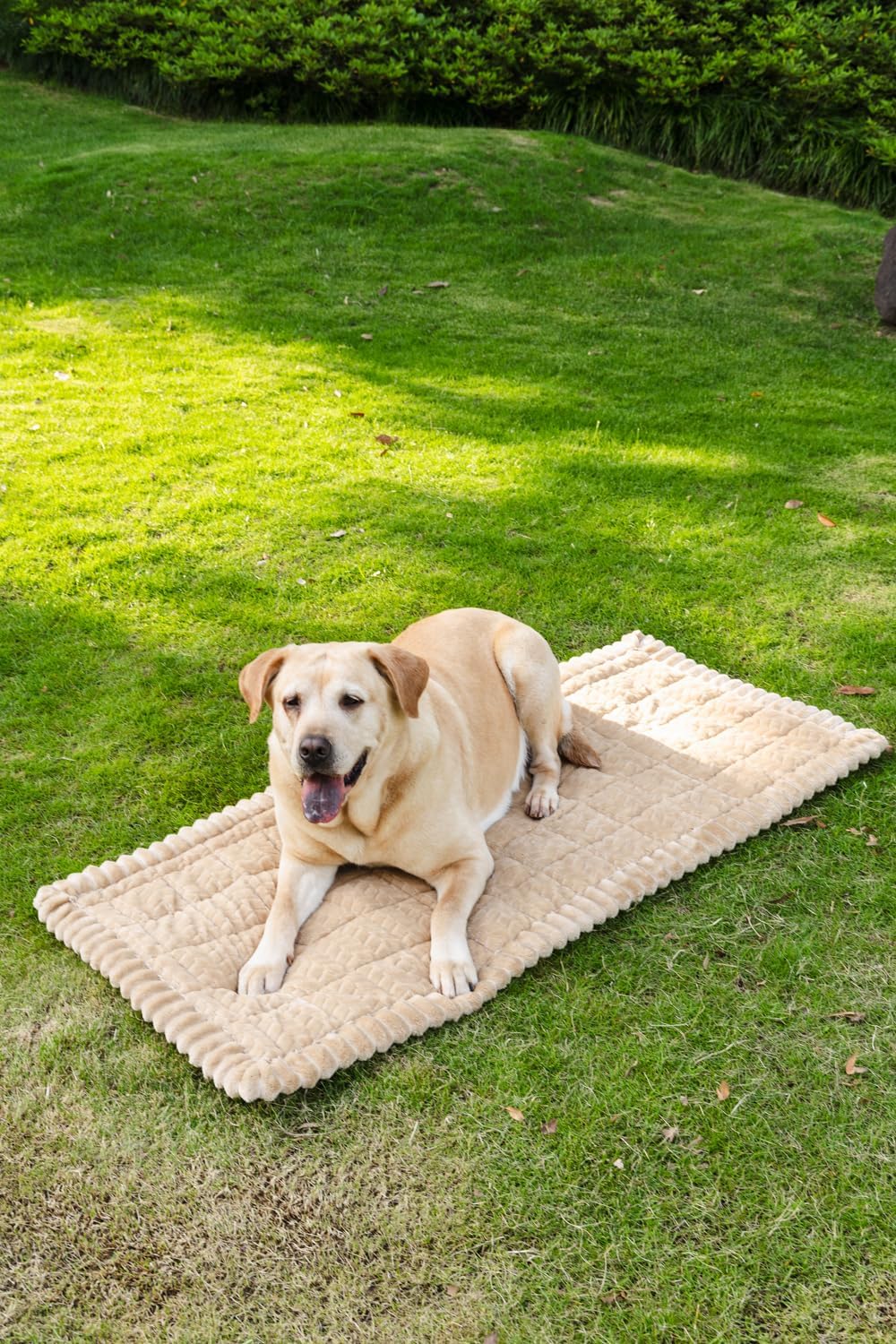 Backseat Pet Bed Mat for Car, Non-Slip Dog Car Seat Cover with Scratch-Proof Protection, Back Seat Extender for Dogs Compatible, Universal Fit for Cars SUVs Trucks (24.8x54 inch)