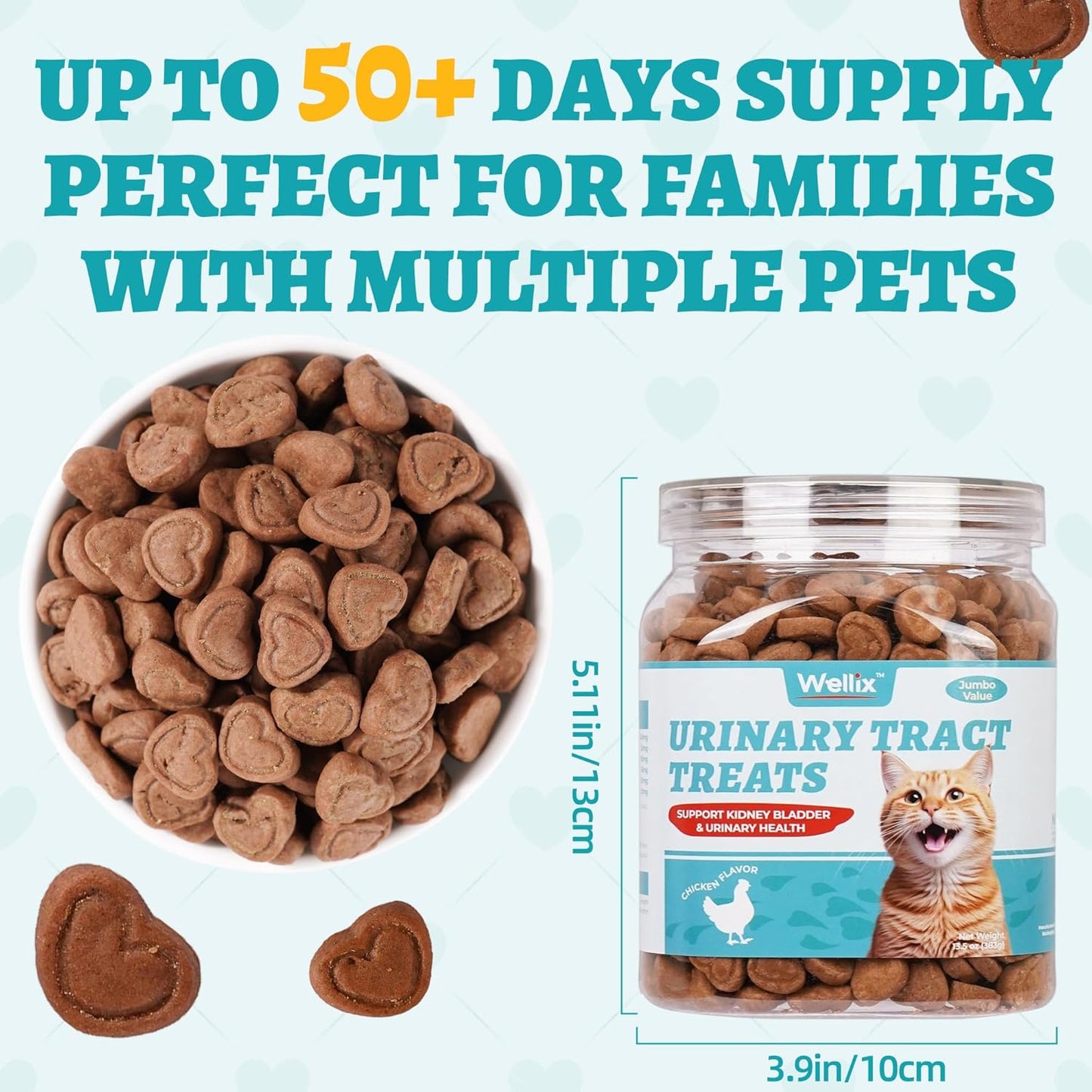 Wellix 13.5oz Urinary Tract Health Supplement Cat Treats for Indoor Cats - Chicken Flavor Kitten Snacks for Support Kidney Bladder & Urinary Health Cat Training Biscuits - Add Dandelion & Cranberry